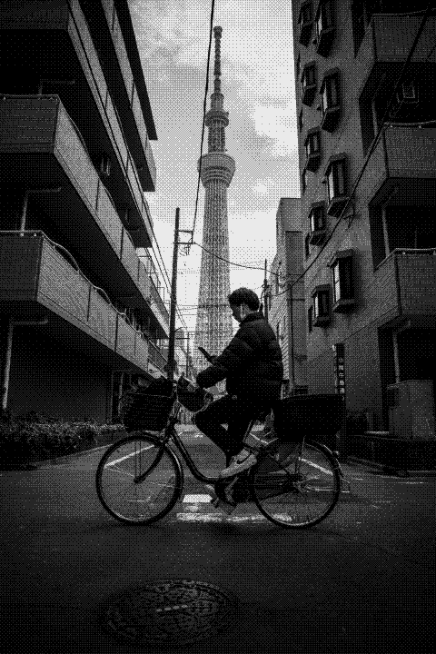 東京スカイツリーの前で、自転車に乗ってスマートフォンを見る男性