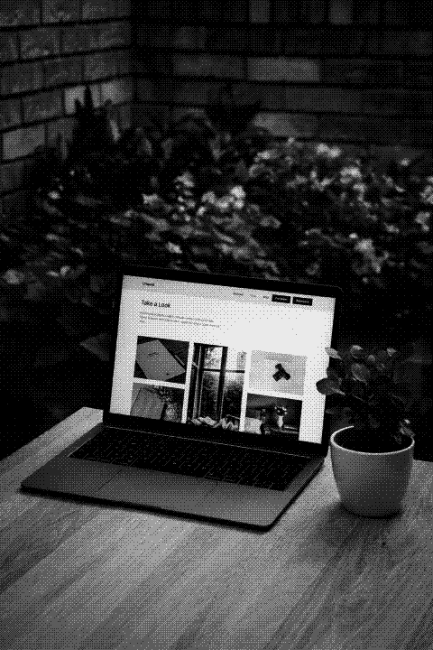 Open laptop on a wooden table next to a potted plant